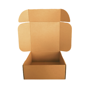 Caja Kraft 25 x 25 x 10 cm. 50 Pzs. - Imagen 2