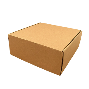 Caja Kraft 25 x 25 x 10 cm. 50 Pzs. - Imagen 4