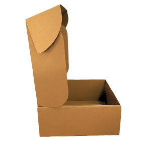 Caja Kraft 30 x 30 x 12 cm. 50 Pzs. - Imagen 2