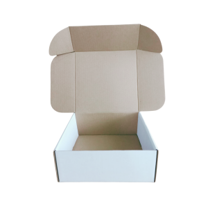 Caja Blanca 25 x 25 x 10 cm. 50 Pzs. - Imagen 4