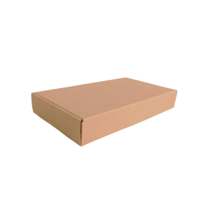Caja Kraft 20 x 11 x 3 cm. 50 Pzs.