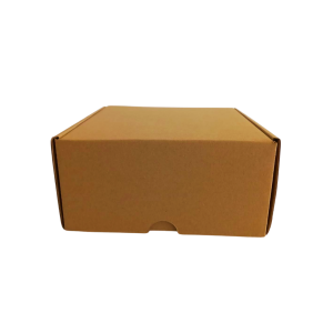 Caja Kraft 20 x 20 x 10 cm. 50 Pzs.