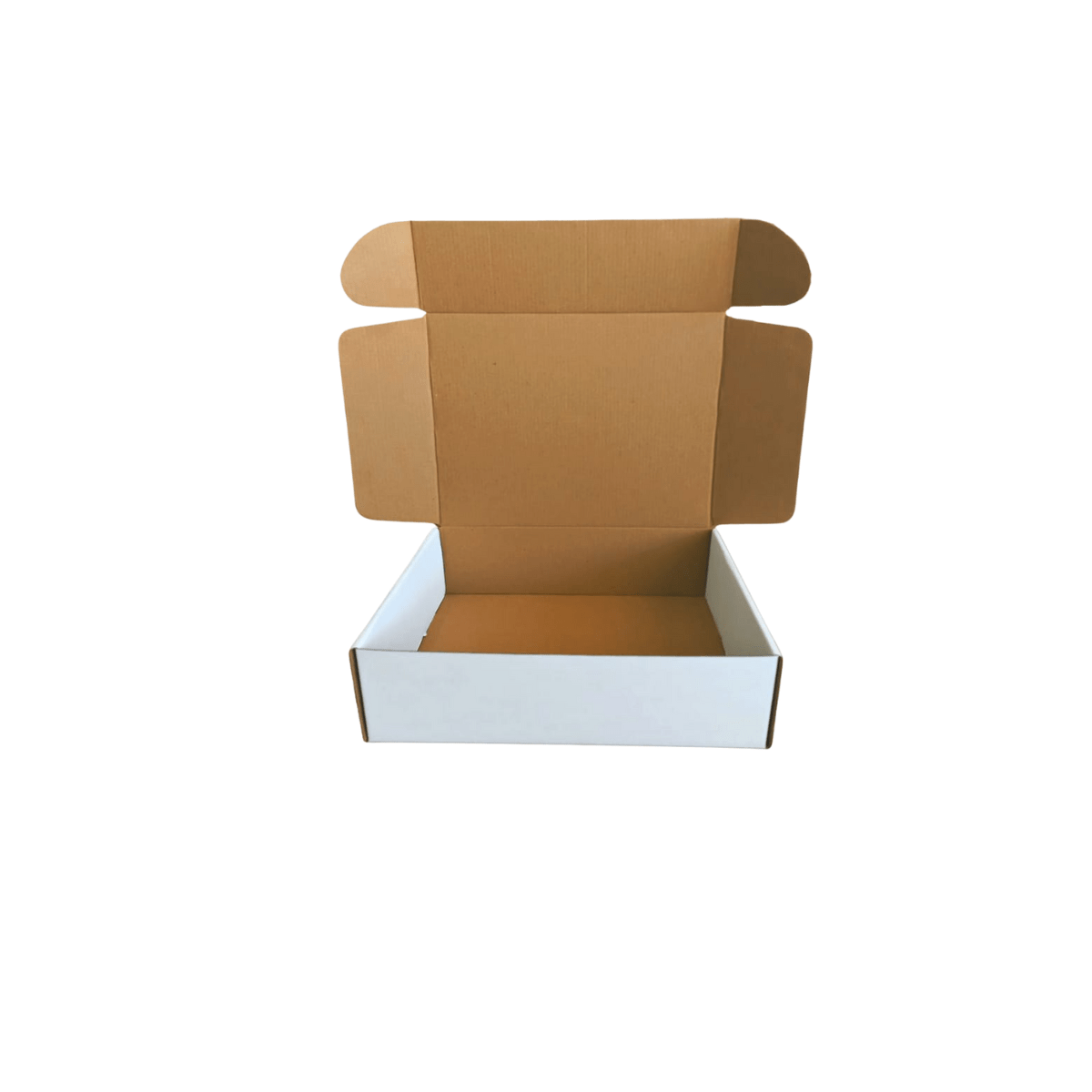 fotos ecommerce (17)